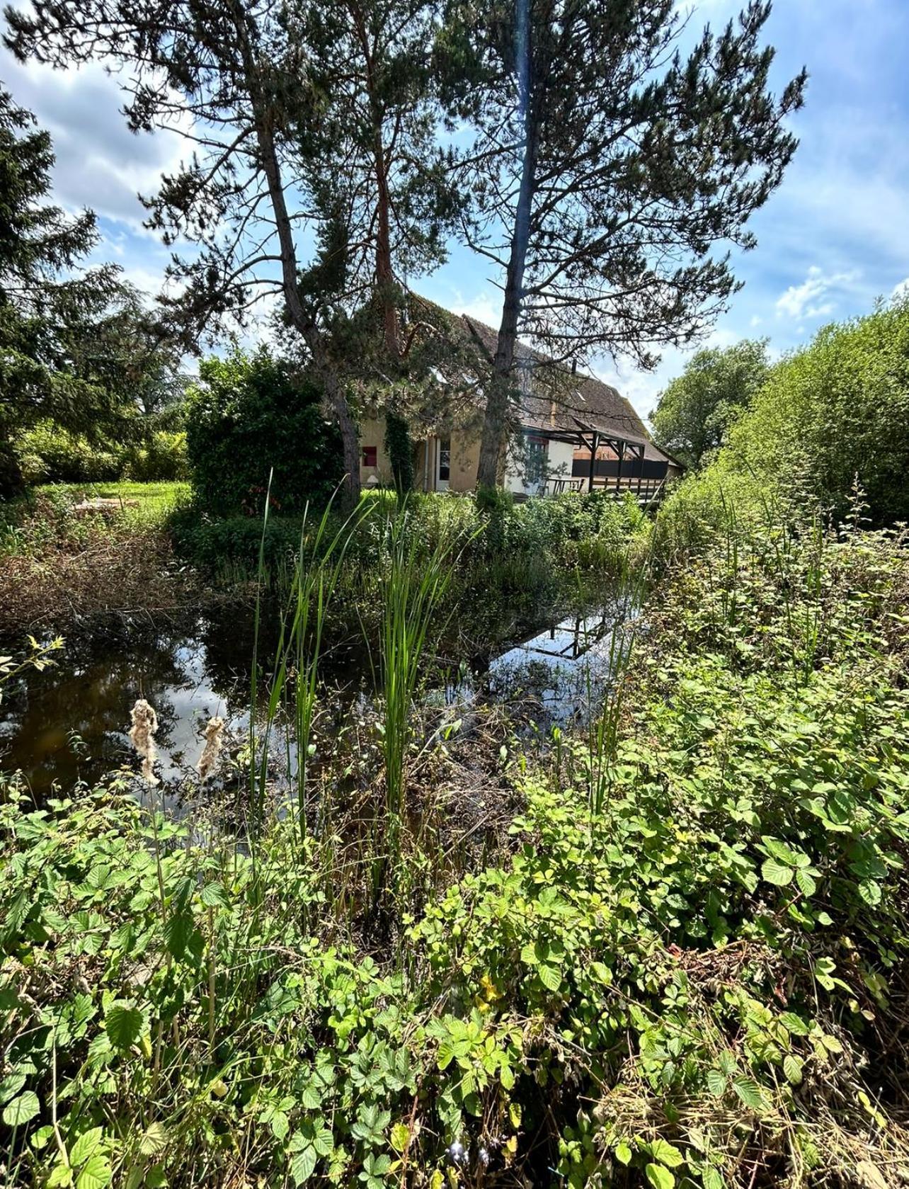 Le Gite Du Chateau Mouton Chatenoy-le-Royal 外观 照片