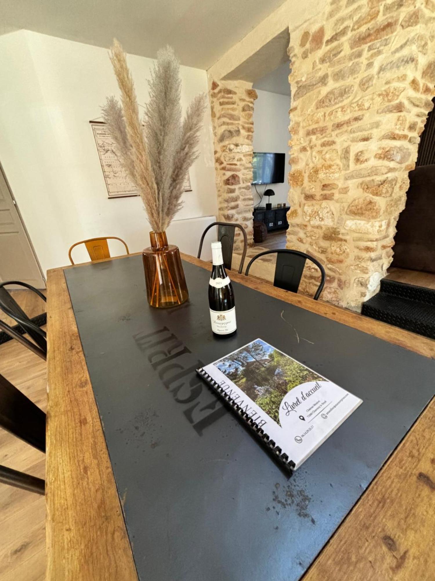 Le Gite Du Chateau Mouton Chatenoy-le-Royal 外观 照片